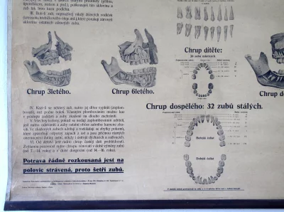 Plakát Chrup a jeho ošetřování