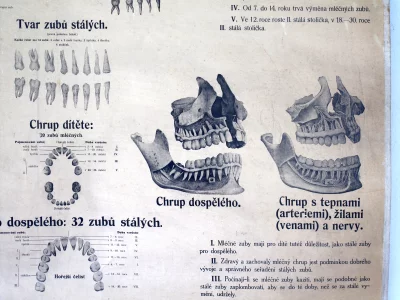 Plakát Chrup a jeho ošetřování
